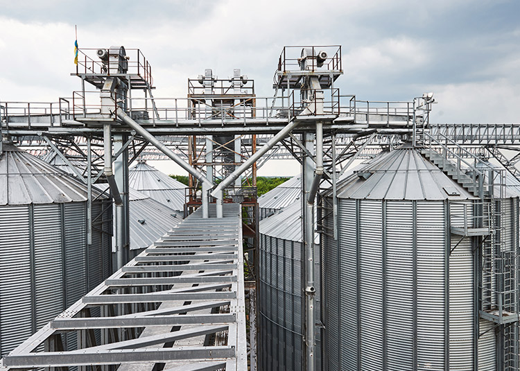 Grain transportaion and storage systems